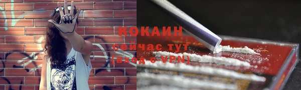 spice Арсеньев