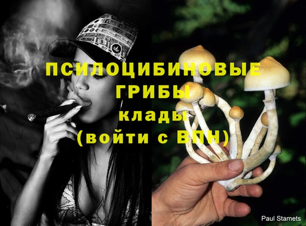 PSILOCYBIN Аркадак