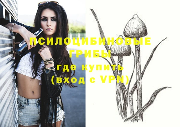 PSILOCYBIN Аркадак