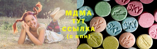 PSILOCYBIN Аркадак
