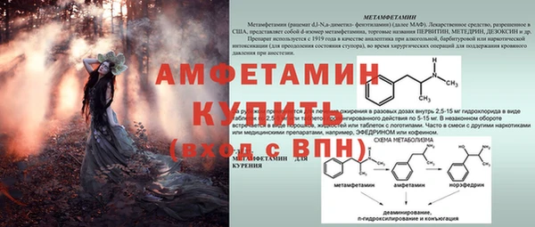 PSILOCYBIN Аркадак