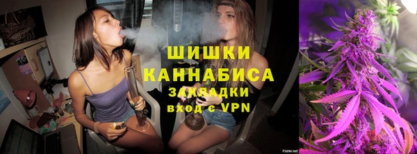 PSILOCYBIN Аркадак