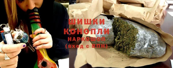 PSILOCYBIN Аркадак