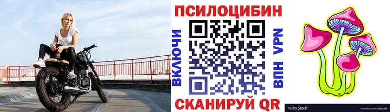 дарнет шоп  Пущино  Галлюциногенные грибы мицелий 